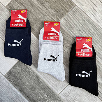 Шкарпетки жіночі спортивні махрові бавовна Puma, розмір 36-39, асорті, 011350