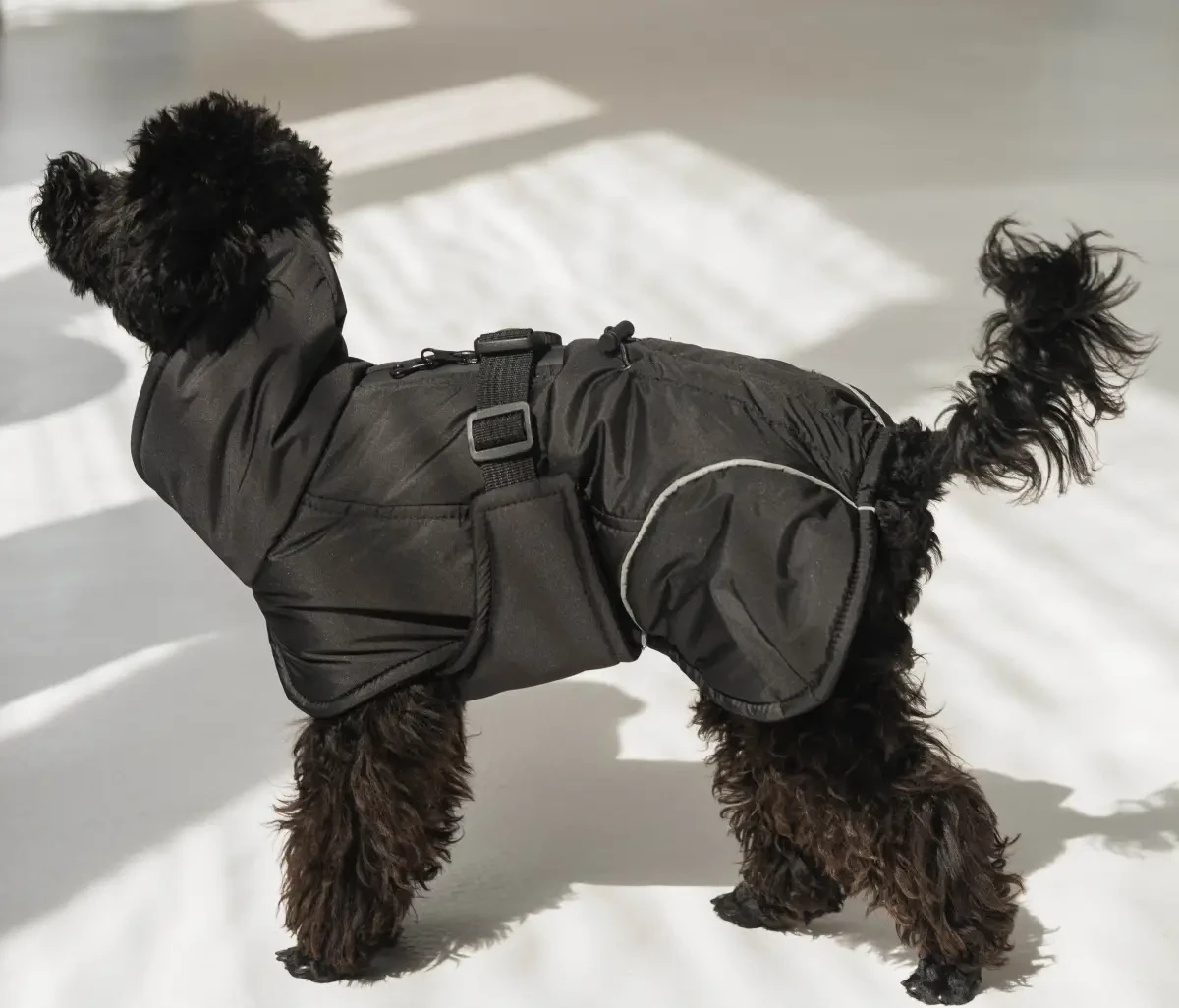 Жилет попона 36 см (об'єм до 50см) чорний розм 6 для собак, фото 1