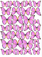 Цукрова картинка Метелики №9186