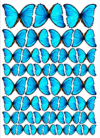 Цукрова картинка Метелики №9183