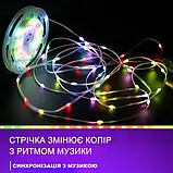 Світлодіодна RGB гирлянда 10м на USB пультом та блютуз керуванням, фото 6