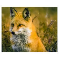 Алмазний живопис 30х40 GLD62327 у картонній коробці купити дешево оптом в інтернет-магазині