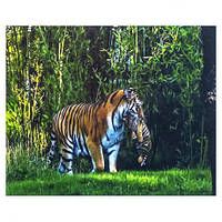 УЦІНКА! Алмазний живопис 30х40 GLD65149 у картонній коробці купити дешево оптом в інтернет-магазині