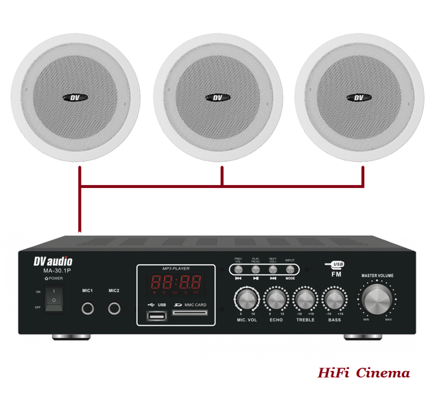 DV Audio MA-30.1P & WS-601