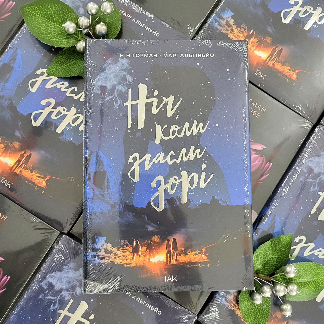 Книга Ніч, коли згасли зорі / Нін Горман / The night the stars went out, фото 1