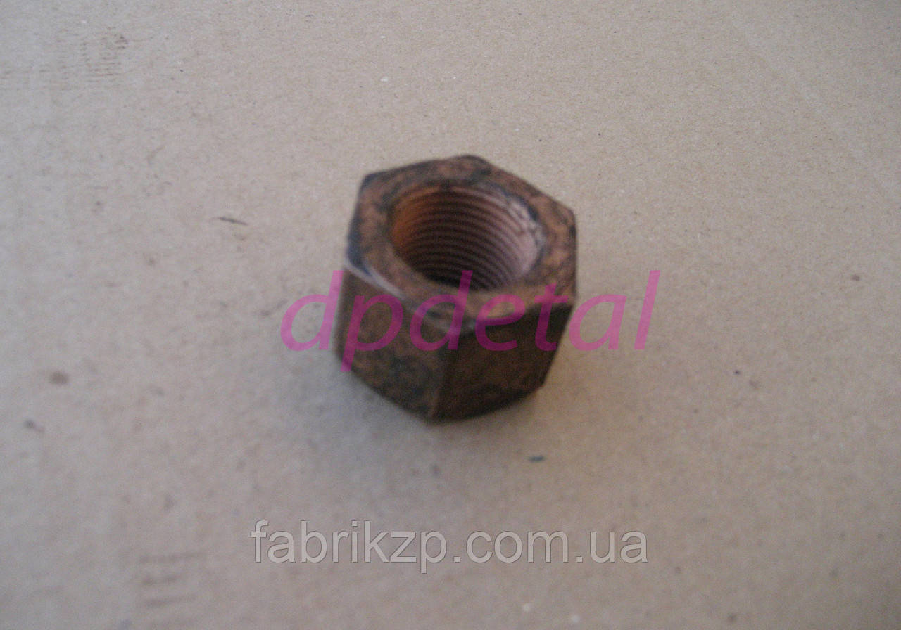 Гайка кришки підшипника Д65-01-019 ЮМЗ