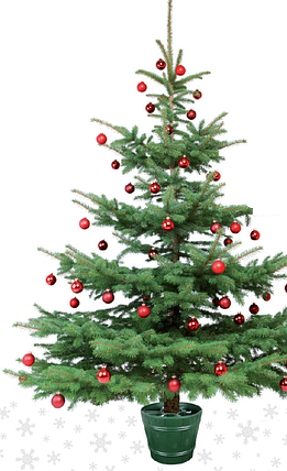 Підставка для ялинки Form-plastic PLANET 2, пластик, форма відро 17 л, темно-зелена, фото 2