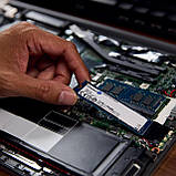 Kingston Накопичувач SSD Kingston M.2 4TB PCIe 4.0 NV3, фото 3