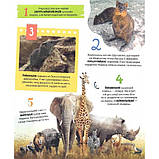 Тварини. 100 цікавих фактів. Ірина Романенко, фото 2