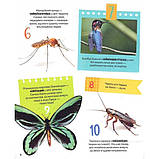 Тварини. 100 цікавих фактів. Ірина Романенко, фото 3