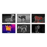 Тепловізійний монокуляр PARD Leopard 480-25, фото 6