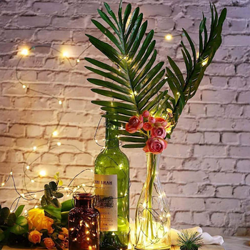 Світлодіодна гірлянда роса 50 Led 5м 8 режимів теплий колір USB CW-G-50L5NU ColorWay