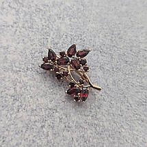 Суцвіття брошка, фото 2
