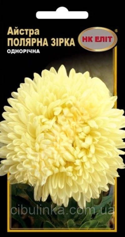Насіння Айстра Полярна зірка НК Еліт 0,3 г, фото 1