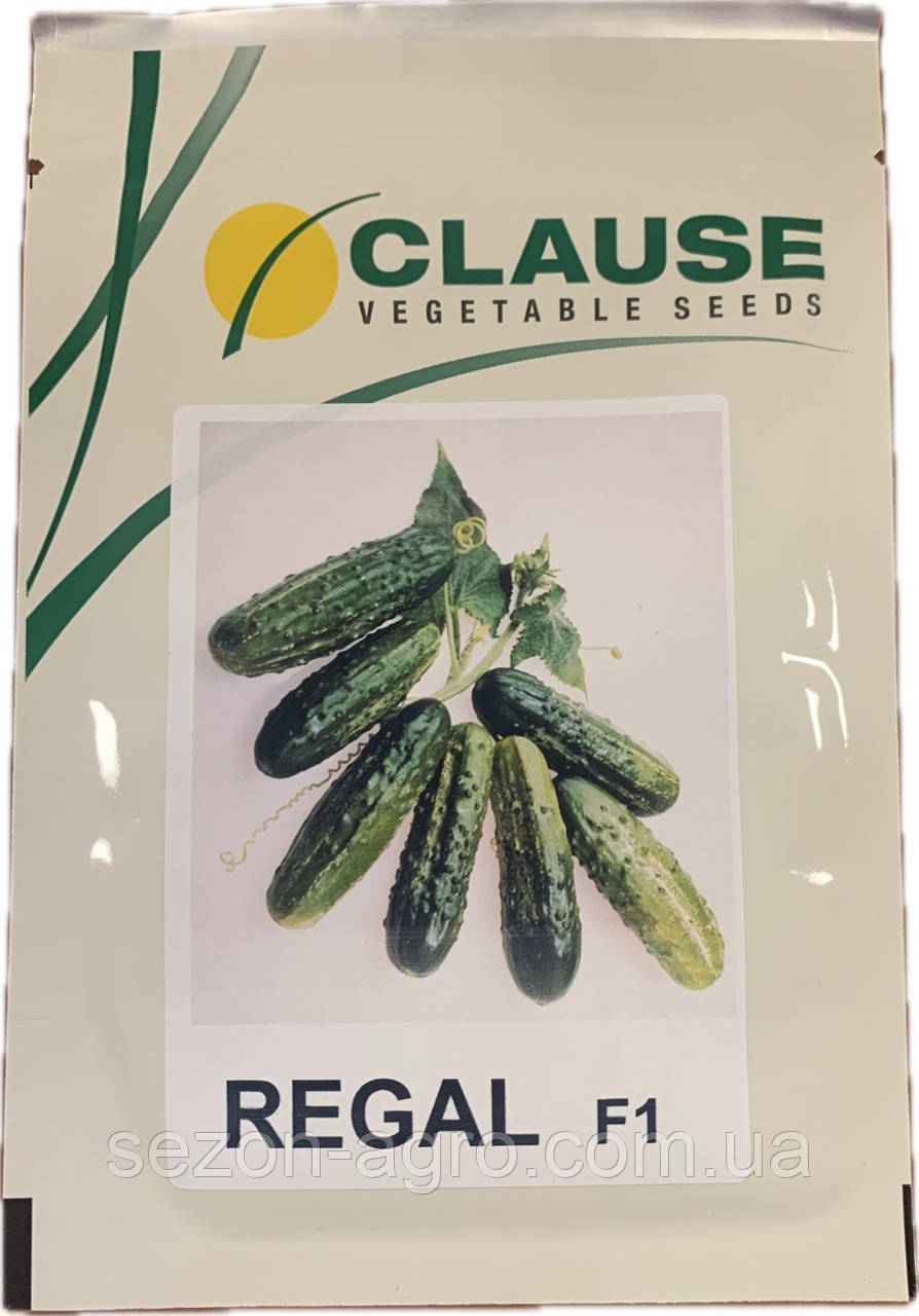 Огірок Регал F1 (Regal F1) 10 г Clause