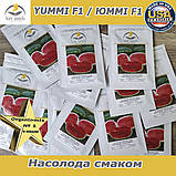Насіння, кавун ЮММІ F1 / JUMMI F1, LARK SEEDS (США), 1000 насіння, фото 3
