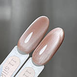 Гель лак GeliX Silk cat, 8 мл  11 шовкова кішка, фото 6