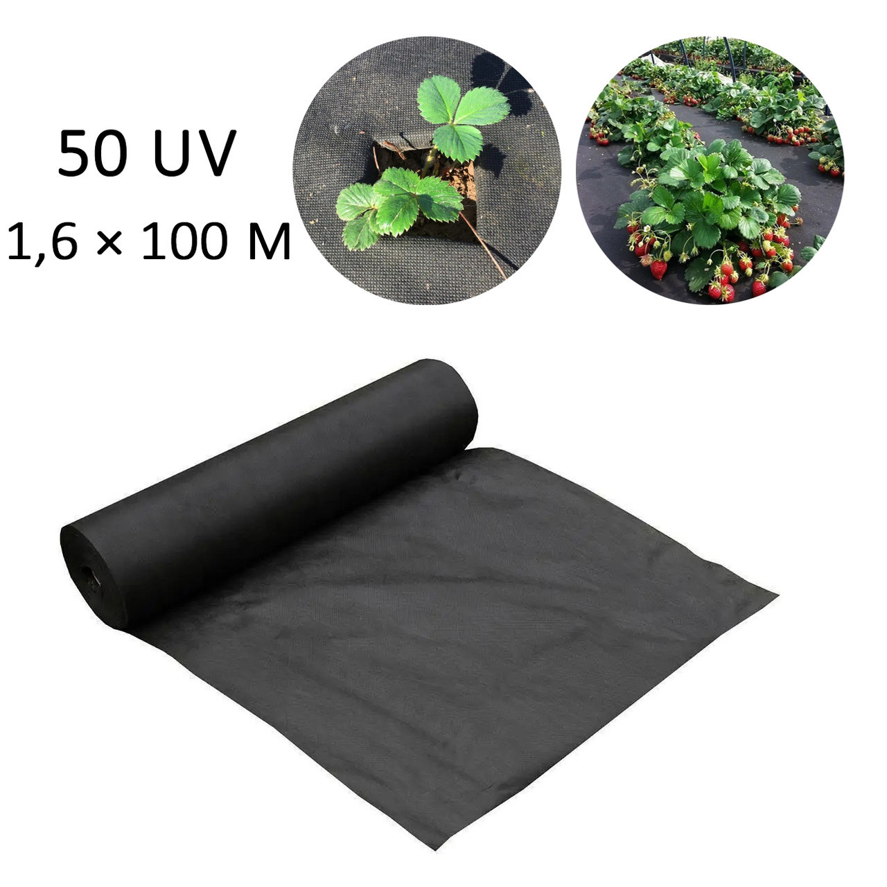 Агроволокно для полуниці Чорне 50 г/м2 (50 UV) 1,6 × 100 м, спанбонд для мульчування ⁇ агротканина (ST)