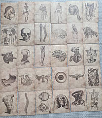 Набір наклейок анатомія 56 шт