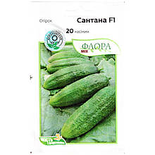 Насіння огірка середньопізнього, врожайного, бджолозапильного «Сантана» F1 (20 насінин) від Moravoseed, Чехія