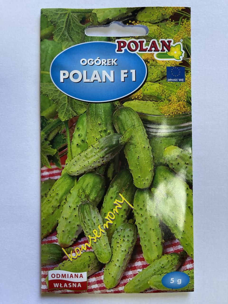 Огірок Полан F1 / Polan F1 5 г Roltico, Польща