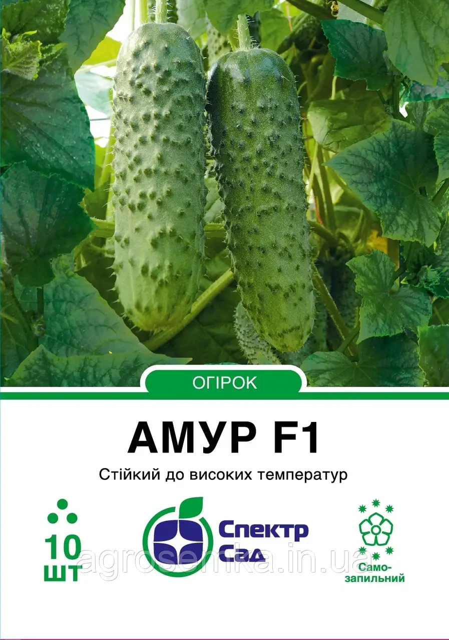 Огірок Амур F1 / 10 шт Bejo