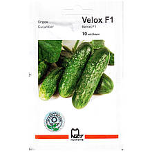 Насіння огірка середньостиглого, самозапильного «Велокс» F1 (10 насінин) від Nunhems, Голландія