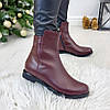 Черевики жіночі шкіряні на низькому ходу, колір бордо, фото 5