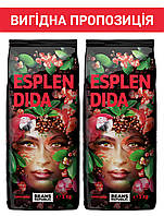 Набір кави в зернах Beans Republic ESPLENDIDA 100% Арабіка, 1000г х 2шт