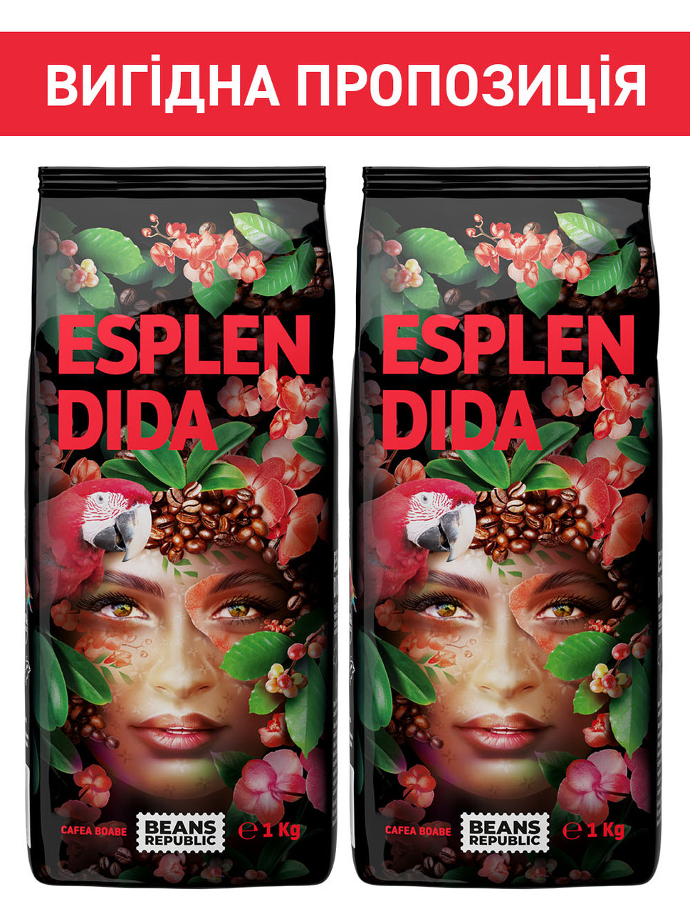 Набір кави в зернах Beans Republic ESPLENDIDA 100% Арабіка, 1000г х 2шт - фото 1 - id-p2429196039