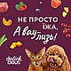 Акція 12+12! Вологий корм для кішок Delickcious Пластівці з качкою та лісовими ягодами у вершковому соусі 80 гр 12 шт, фото 9