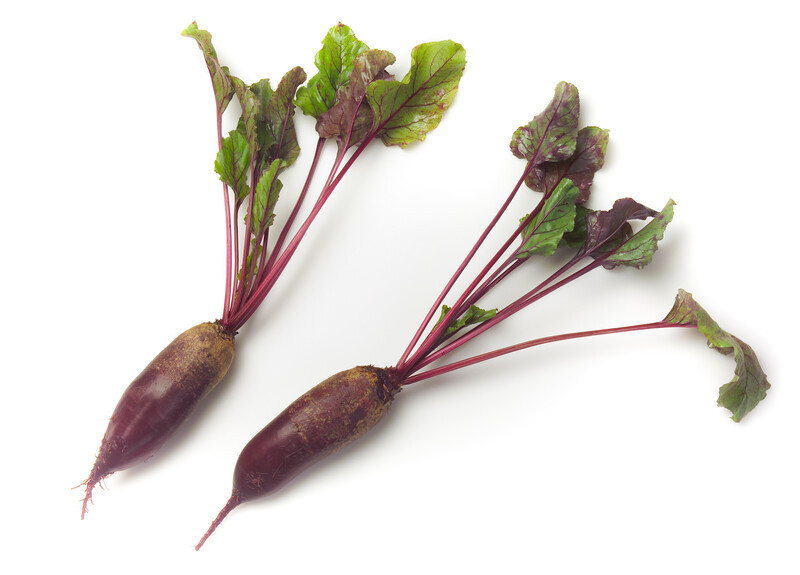 Насіння буряка Карілон Rijk Zwaan 25000 2,75-3,5