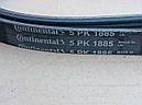 Ремінь генератору Ваз 2123, Нива-Шевроле, BMW E36 318 tds, 5PK1885 (виробник Contitech, Німеччина), фото 8