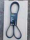 Ремінь генератору Ваз 2123, Нива-Шевроле, BMW E36 318 tds, 5PK1885 (виробник Contitech, Німеччина), фото 4