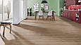 Krono Original Super Natural K647 Дуб Клей Сола (Clay Sola Oak), ламінат, фото 4