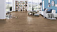 Krono Original Super Natural K647 Дуб Клей Сола (Clay Sola Oak), ламінат, фото 6