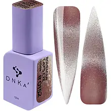 DNKa' Gel Polish Bohemian Cat Eye #0152