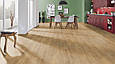 Krono Original Super Natural K633 Дуб Золотий Аполло (Gold Apollo Oak), ламінат, фото 2