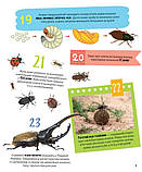 Комахи. 100 цікавих фактів. Ольга Пилипенко, фото 2