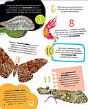 Комахи. 100 цікавих фактів. Ольга Пилипенко, фото 3