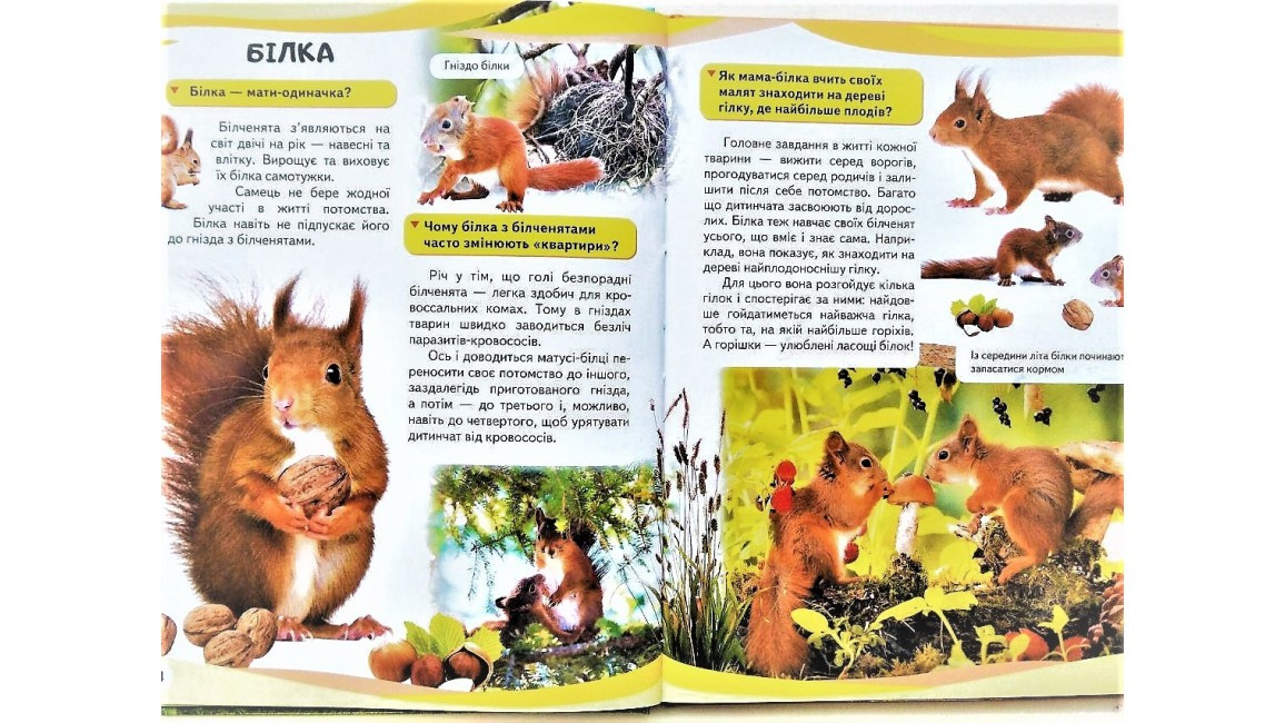 Product image preview