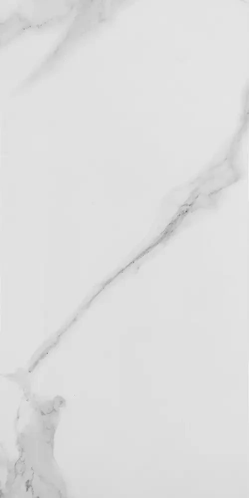 Плитка для підлоги Атем Сalacatta R GRM 295*595