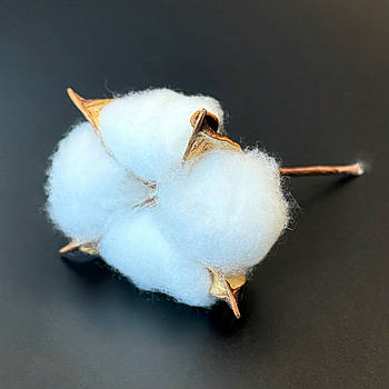 Сухоцвіт натуральний Бавовна на дроті 5-7 см упаковка 5 шт