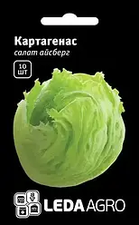 Насіння салату Картагенас (айсберг) 10шт "ЛедаАгро"