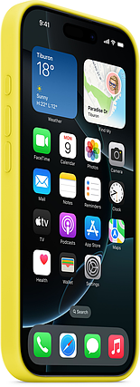 Накладка iPhone 16 Pro Star Fruit Silicone Case MagSafe MYYQ3, фото 3