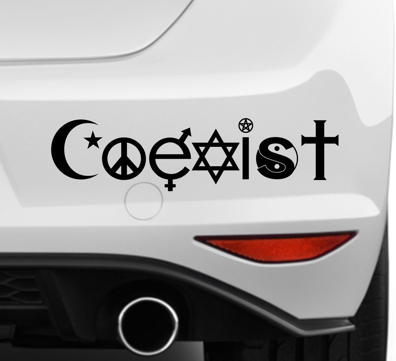 Вінілова наклейка COEXIST  29х7 см