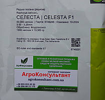 Насіння редиски Селеста F1 (Enza Zaden), 50 000 насінин ― рання, всесезонна, кругла, яскраво-червона редиска