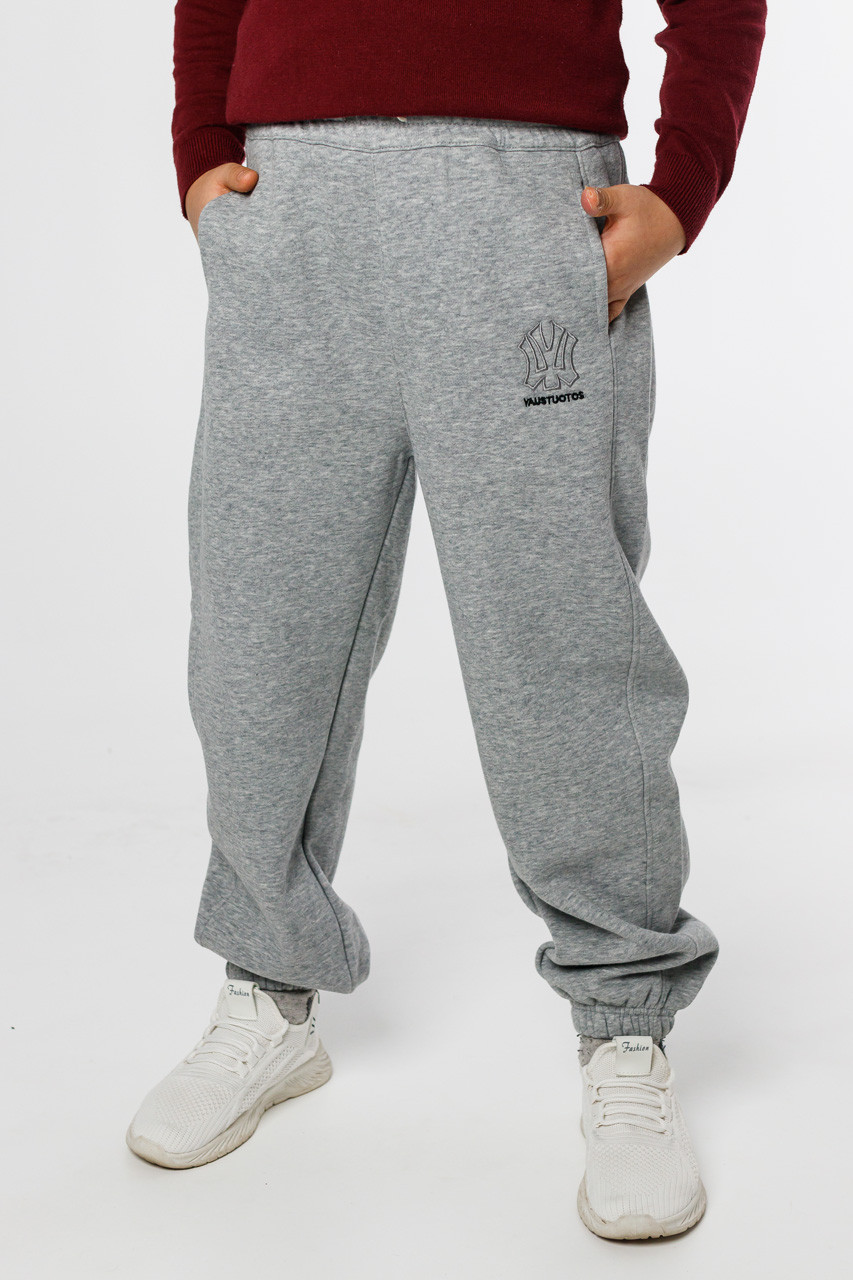 Спортивні штани Alder для хлопчика 8-15 років, теплі , Сірий, 134, фото 1