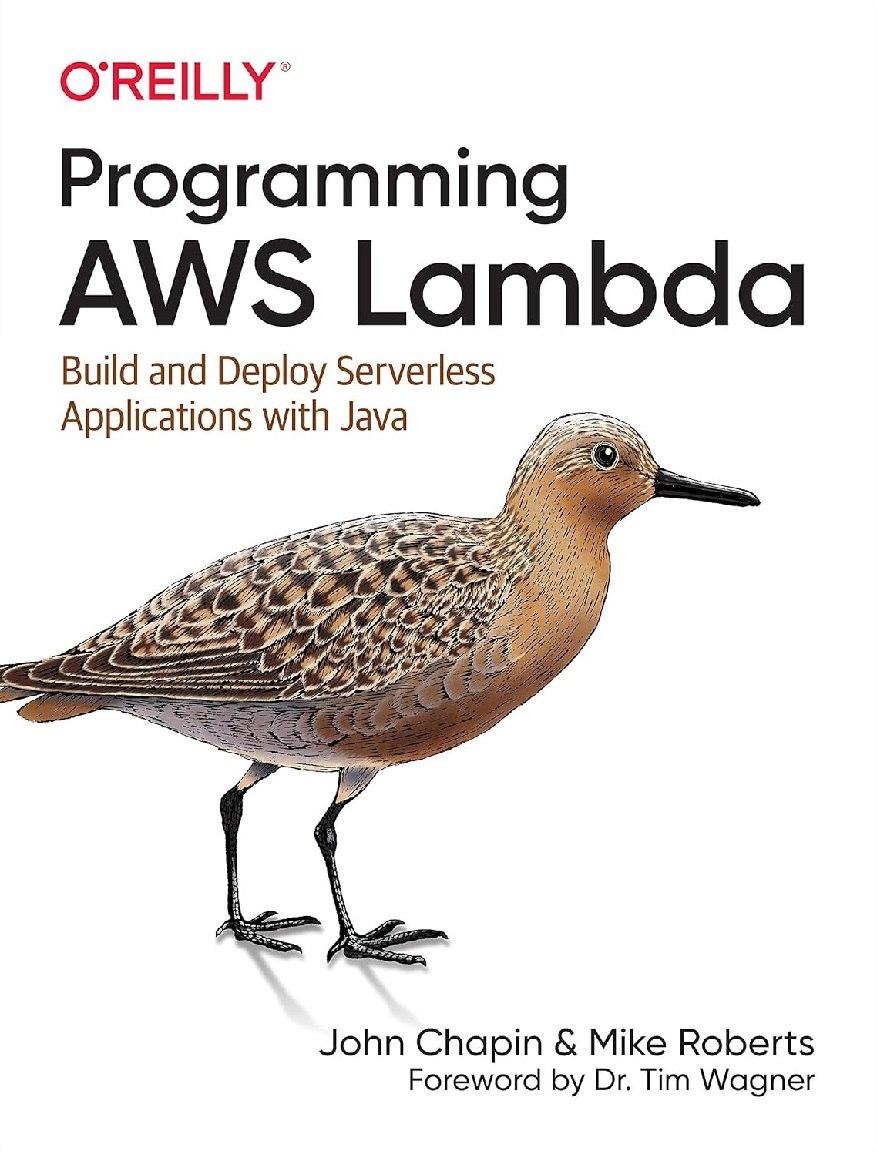 Programming AWS Lambda.  John Chapin, Mike Roberts, фото 1