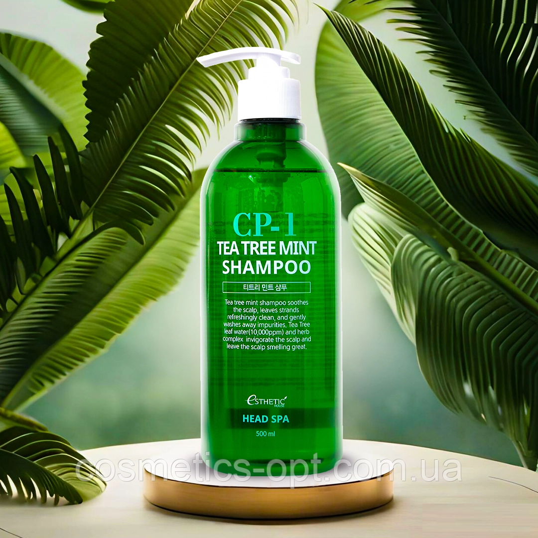 Шампунь для жирної шкіри голови з чайним деревом та м'ятою Esthetic House CP-1 Tea Tree Shampoo, 500 мл